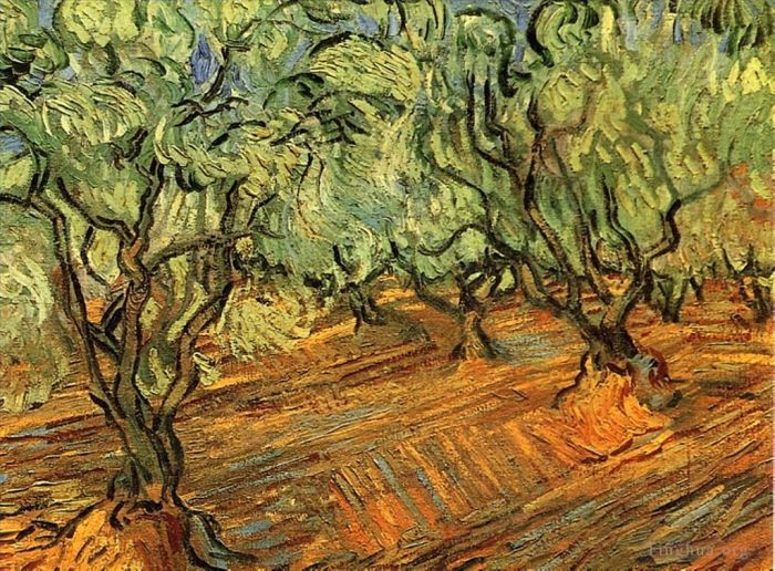 Vincent Willem Van Gogh Peinture à l'huile - Olive Grove Ciel Bleu Vif 2