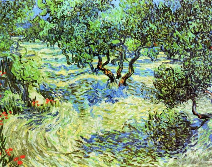 Vincent Willem Van Gogh Peinture à l'huile - Oliveraie Ciel Bleu Vif