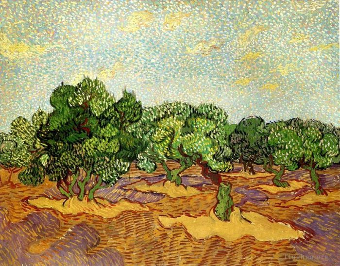 Vincent Willem Van Gogh Peinture à l'huile - Oliveraie Ciel Bleu Pâle