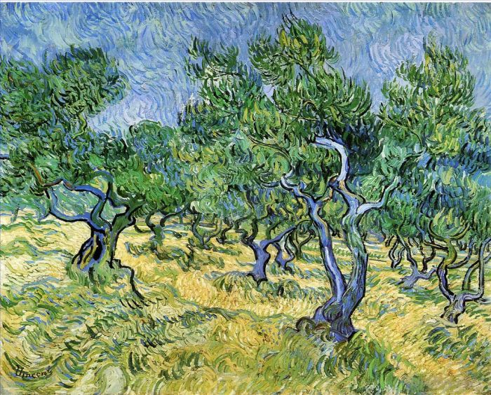 Vincent Willem Van Gogh Peinture à l'huile - Oliveraie