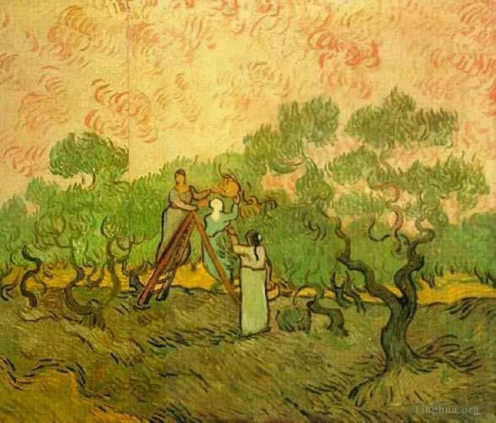 Vincent Willem Van Gogh Peinture à l'huile - Cueillette des olives
