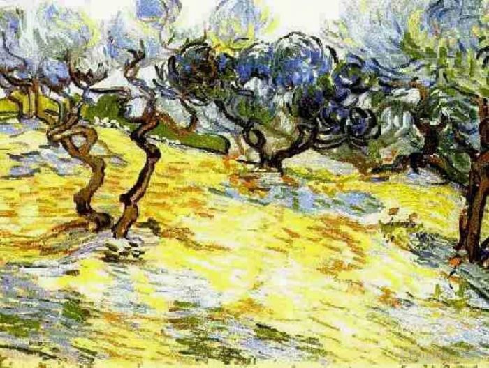 Vincent Willem Van Gogh Peinture à l'huile - Oliviers Ciel Bleu Vif