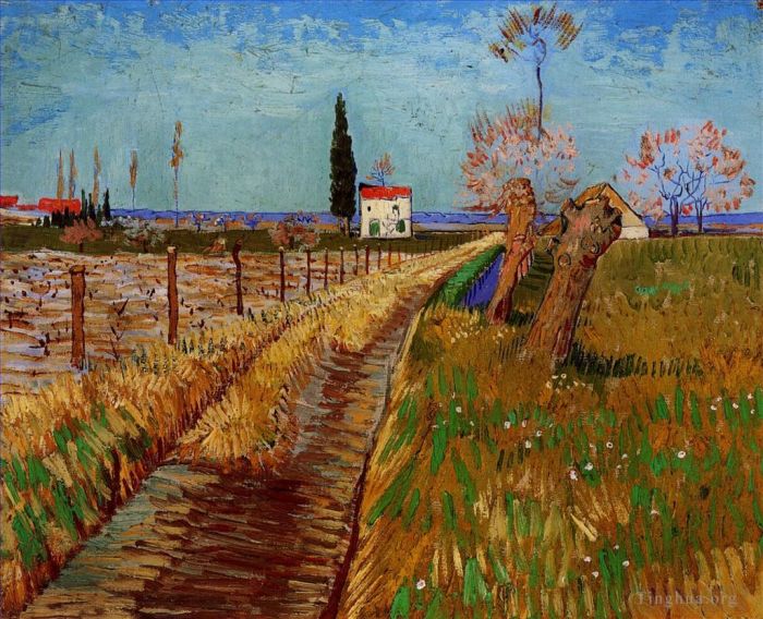 Vincent Willem Van Gogh Peinture à l'huile - Chemin à travers un champ de saules