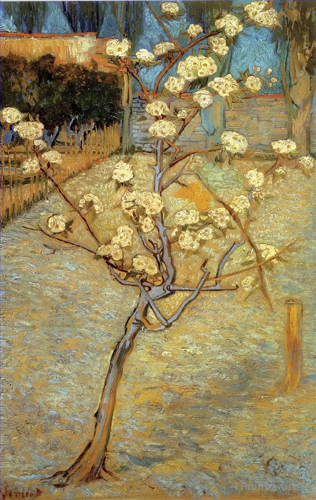 Vincent Willem Van Gogh Peinture à l'huile - Poirier en fleurs