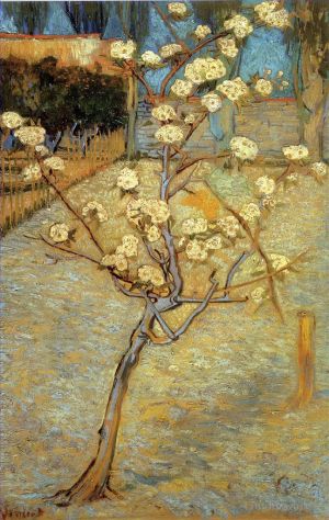 Vincent Willem Van Gogh œuvres - Poirier en fleurs