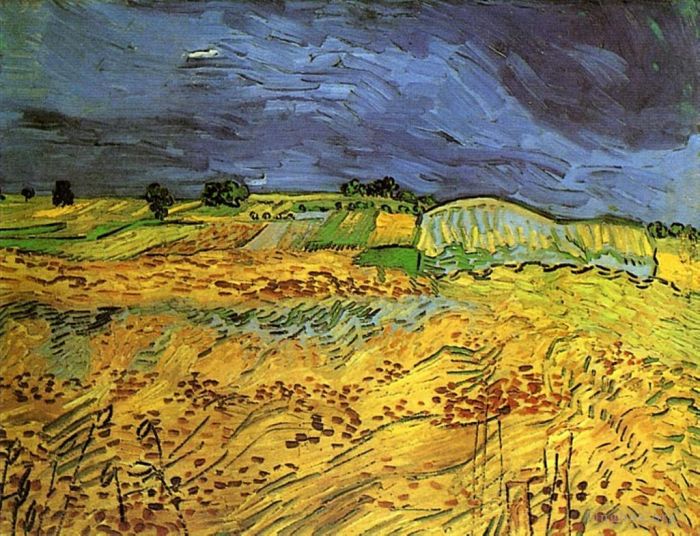 Vincent Willem Van Gogh Peinture à l'huile - Les champs
