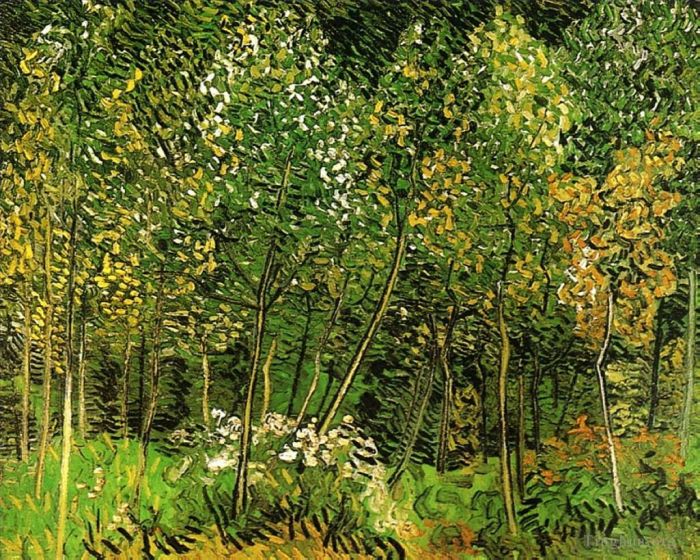 Vincent Willem Van Gogh Peinture à l'huile - Le bosquet