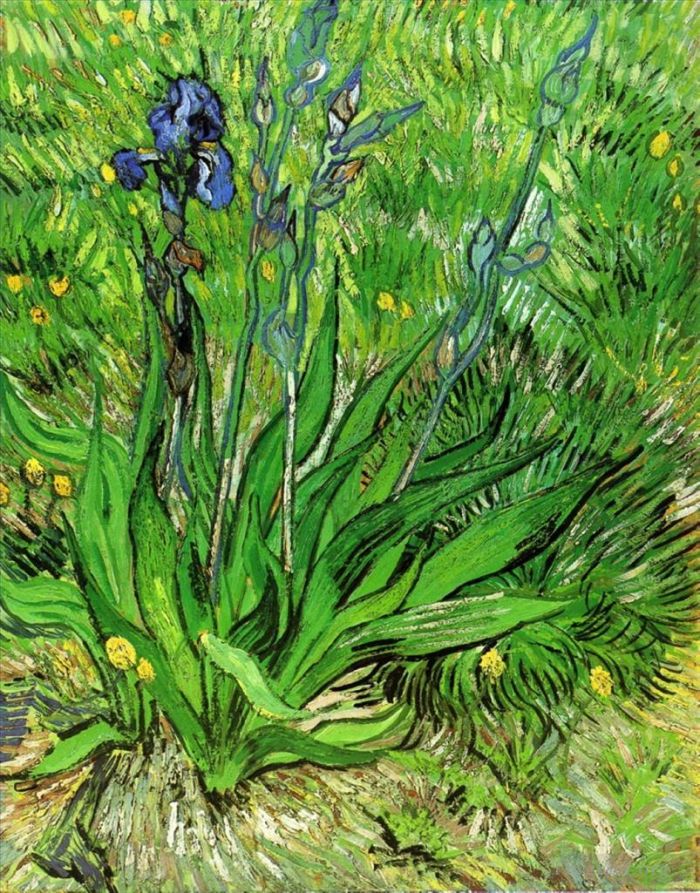 Vincent Willem Van Gogh Peinture à l'huile - L'iris