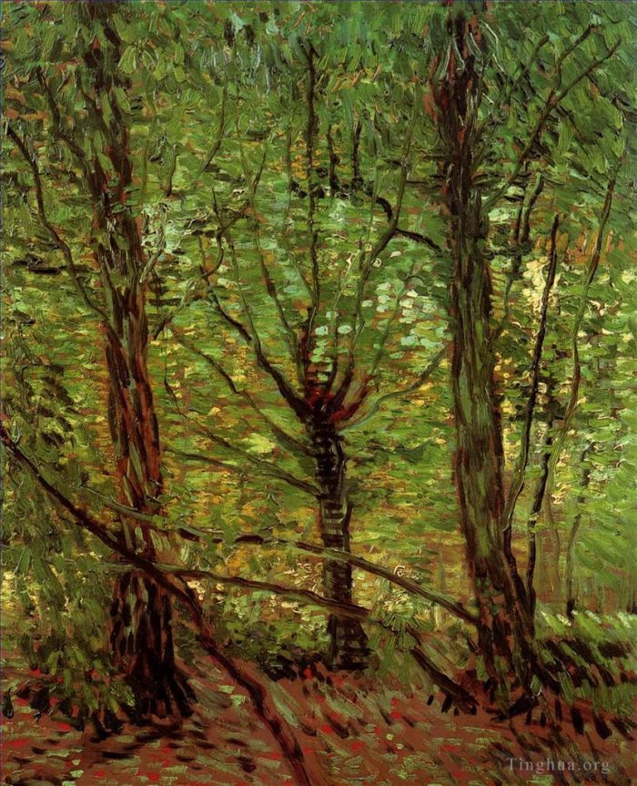 Vincent Willem Van Gogh Peinture à l'huile - Arbres et sous-bois 2