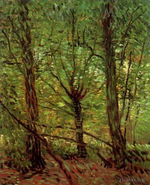 Vincent Willem Van Gogh œuvres - Arbres et sous-bois 2