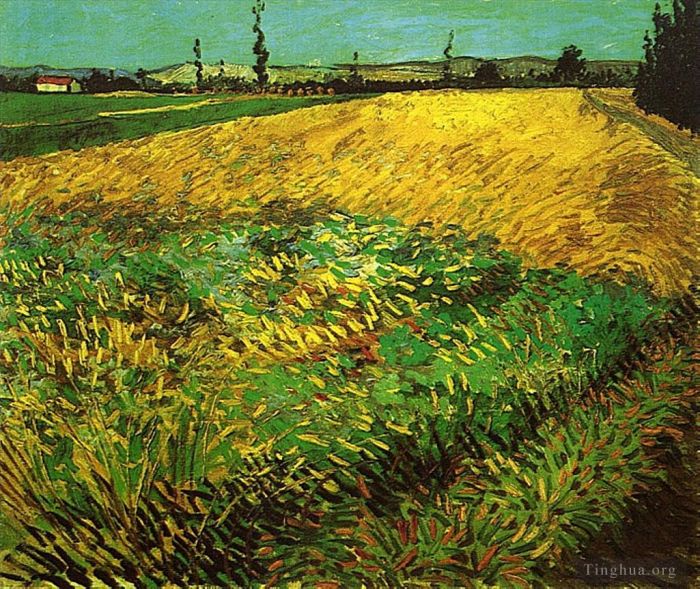 Vincent Willem Van Gogh Peinture à l'huile - Champ de blé avec les contreforts des Alpilles en arrière-plan