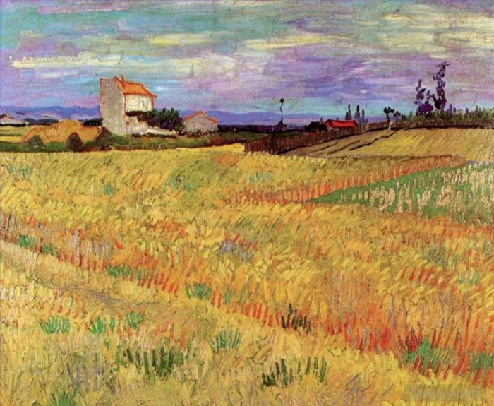 Vincent Willem Van Gogh Peinture à l'huile - Champ de blé