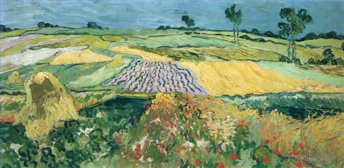 Vincent Willem Van Gogh Peinture à l'huile - Champs de blé