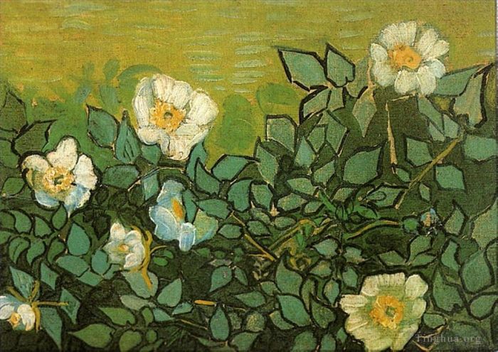 Vincent Willem Van Gogh Peinture à l'huile - Roses sauvages
