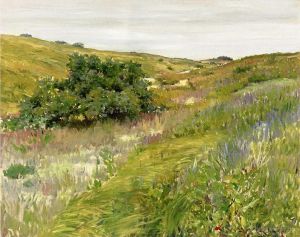 William Merritt Chase œuvres - Paysage des collines de Shinnecock