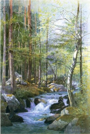 William Stanley Haseltine œuvres - Torrent en bois derrière le barrage du moulin Vahrn près de Brixen Tyrol