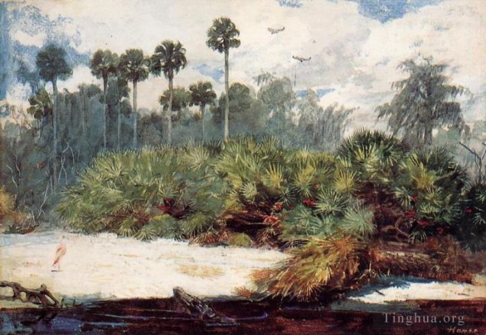 Winslow Homer Peinture à l'huile - Dans une jungle de Floride