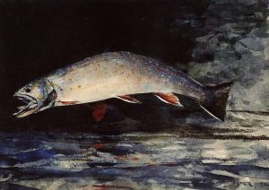 Winslow Homer œuvres - Une truite mouchetée
