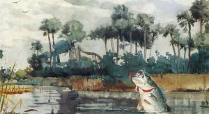Winslow Homer œuvres - Black Bass Floride