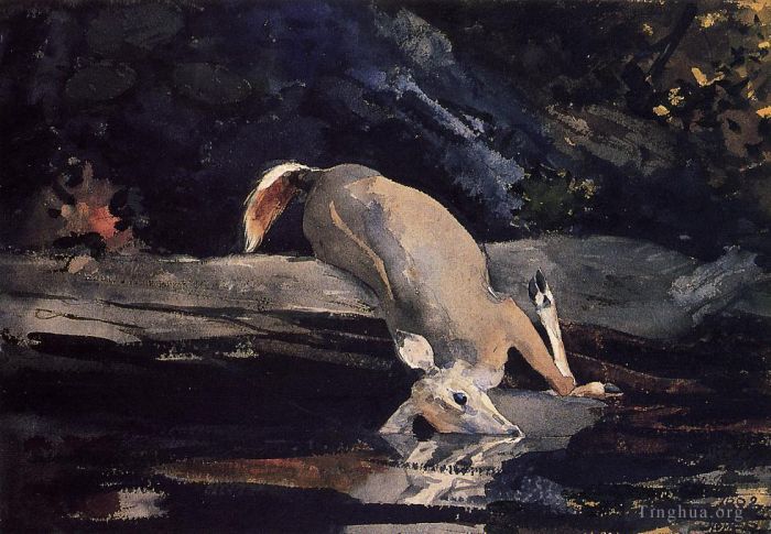 Winslow Homer Types de peintures - Cerf tombé