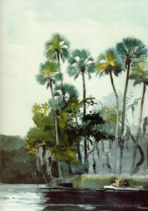 Winslow Homer œuvres - Rivière Homosassa